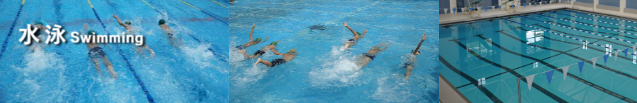 水泳スクール・水泳個別指導-ピセラスポーツ
